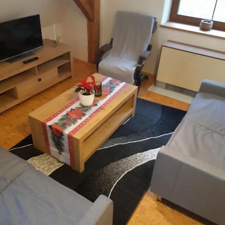 Apartma Doubek Рокитнице над Ийзероу Екстериор снимка