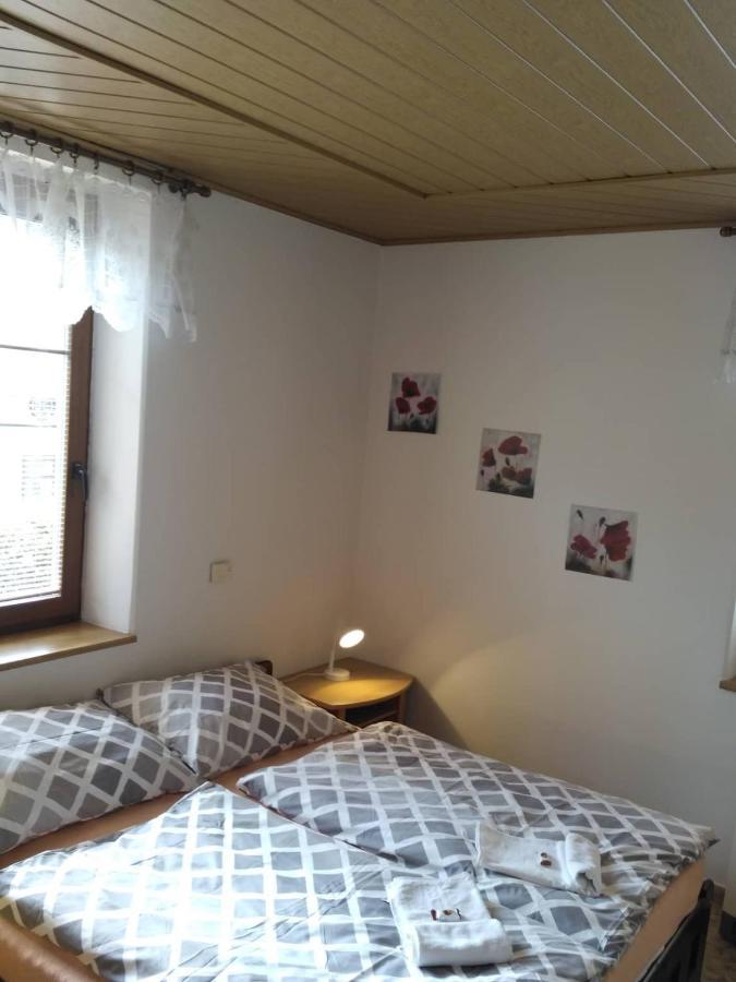 Apartma Doubek Рокитнице над Ийзероу Екстериор снимка