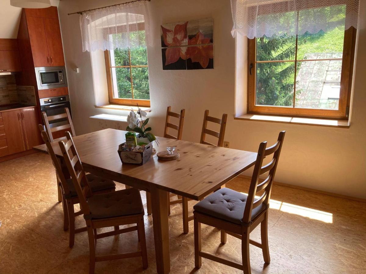 Apartma Doubek Рокитнице над Ийзероу Екстериор снимка