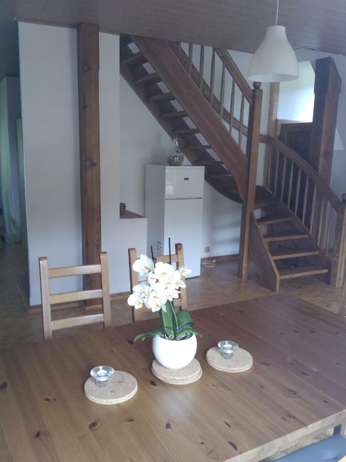 Apartma Doubek Рокитнице над Ийзероу Екстериор снимка