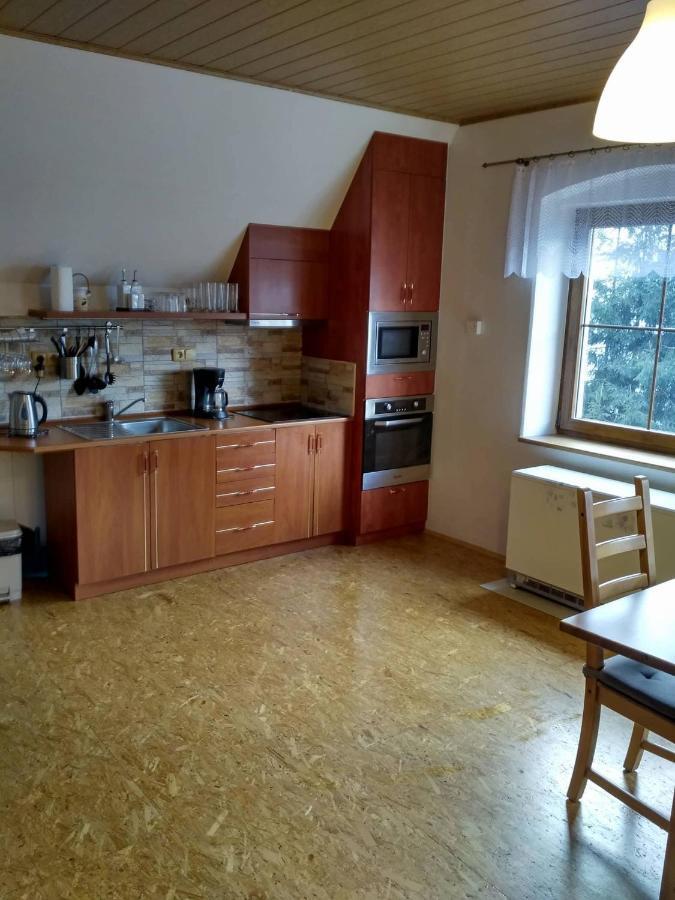 Apartma Doubek Рокитнице над Ийзероу Екстериор снимка