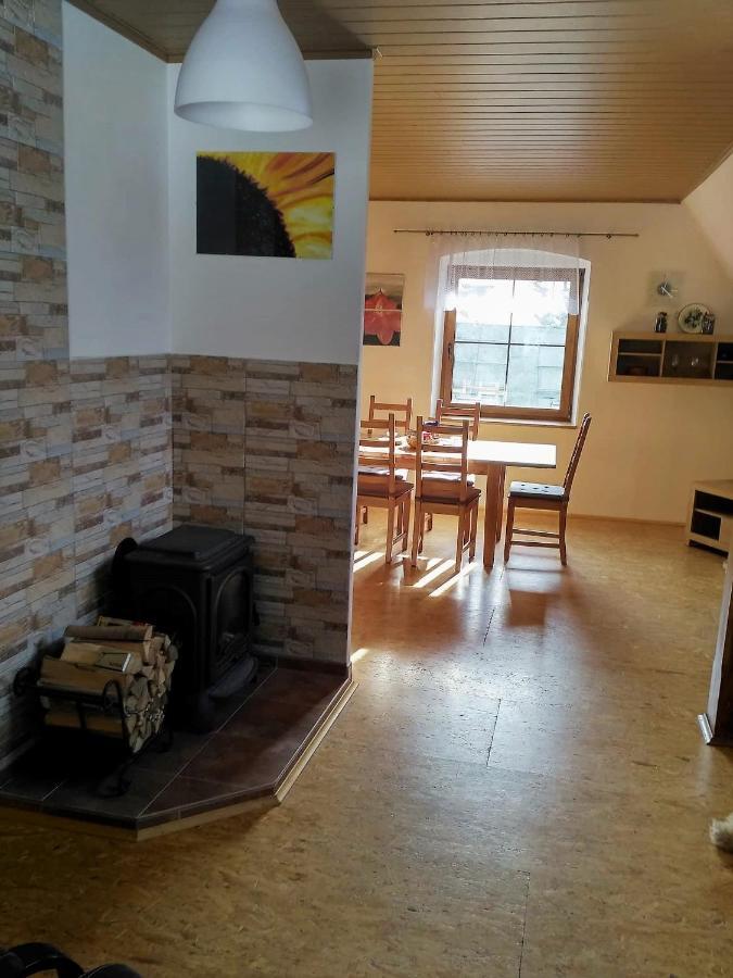 Apartma Doubek Рокитнице над Ийзероу Екстериор снимка