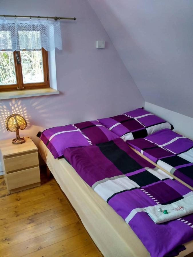 Apartma Doubek Рокитнице над Ийзероу Екстериор снимка