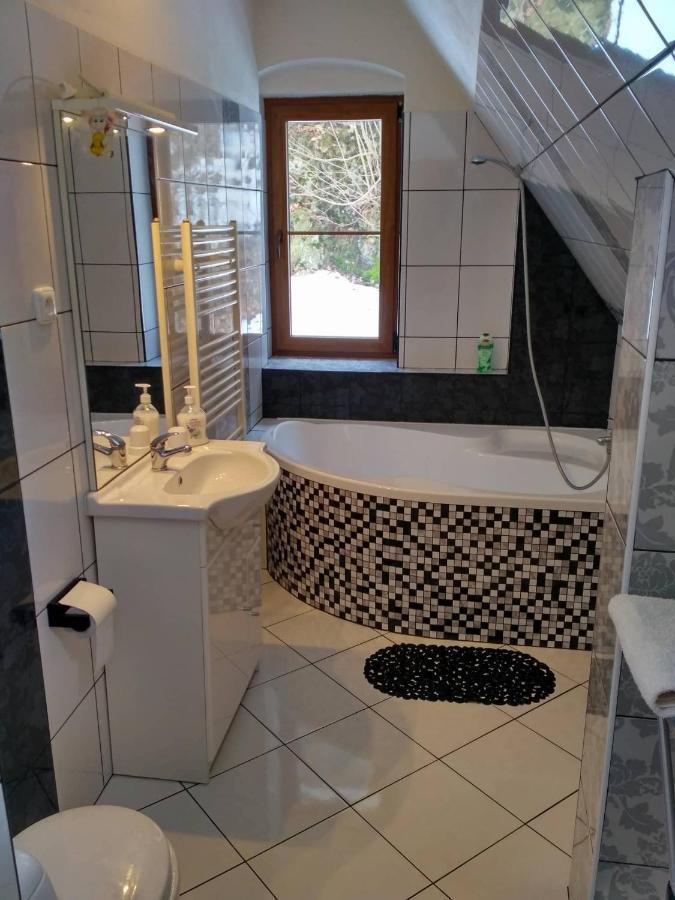 Apartma Doubek Рокитнице над Ийзероу Екстериор снимка